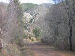 mini-IMG_3646.JPG