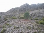 mini-IMG_3667.JPG