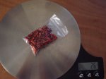 DSC00775.JPG