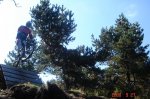 DSC02151.JPG