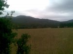 Imagen016.jpg