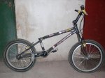 Monty T219.jpg