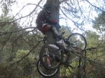 IMG_1623.jpg