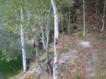 PA020100.JPG