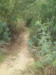 PA020111.jpg