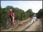 Esquivando un charco 2.jpg