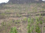 Imagen 066.jpg