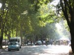 castellana.jpg