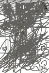 11111.gif