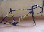 SPECIALIZED.jpg