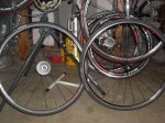 DSCN0796.JPG