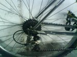 DSC00156.jpg