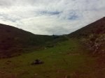 04102008998.jpg