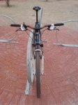 DSC00343.jpg