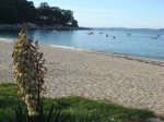 DSC00757.JPG