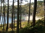 DSC00759.JPG