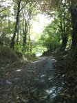 DSC00031.jpg