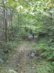 DSC00040.jpg