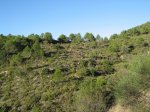 buÃ±ol-risicas 004.jpg