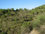 buÃ±ol-risicas 005.jpg