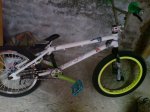 bbmx (5).jpg