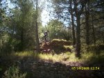 Imagen 026.jpg