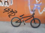 mi bici.JPG