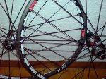 DSC00282.jpg