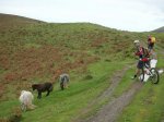 DSCN4535.JPG