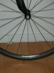 DSCN5954.jpg