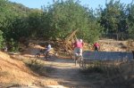 DSC09532.jpg