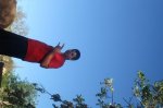 DSC09579.jpg