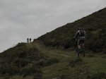 IMG_1419.jpg