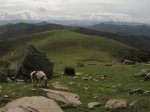 IMG_1433.jpg