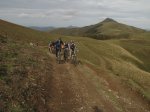 IMG_1447.jpg
