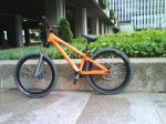 DSC00011.jpg