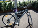 vela6bici.jpg