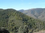 PA051371.jpg