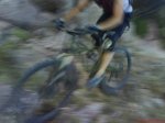 DSC00333.jpg
