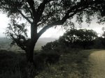 PA050175.JPG