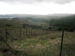 PA050171.JPG