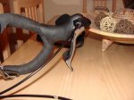 DSC01165.JPG