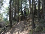 alcora extrem 018_2.jpg