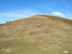 DSCN4031.JPG