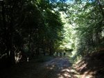 DSCN4014.JPG