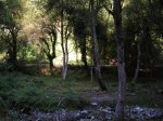 DSCN4013.JPG