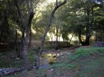DSCN4012.JPG