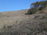 Imagen 069.jpg