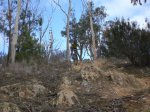Imagen 075.jpg