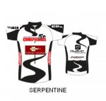 serpentine_esponsors.JPG